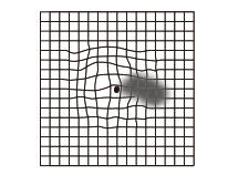 部分的に欠けて見える