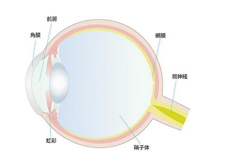 角膜炎